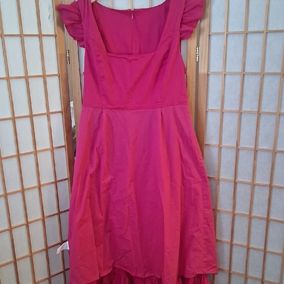Express Pink Ruffled  Dress - Picture 11 of 16